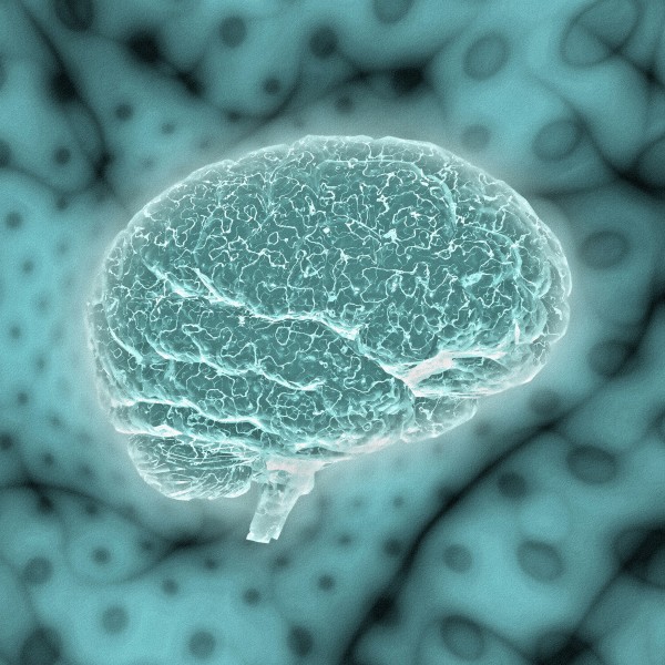 Psychedelic Brain by Bruce Rolff